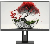 Монитор RDW Computers 23.8" RDW2401K черный IPS 4ms HDMI M/M HAS Piv 350cd 178гр/178гр 1920x1080 VGA DP FHD USB (RUS)