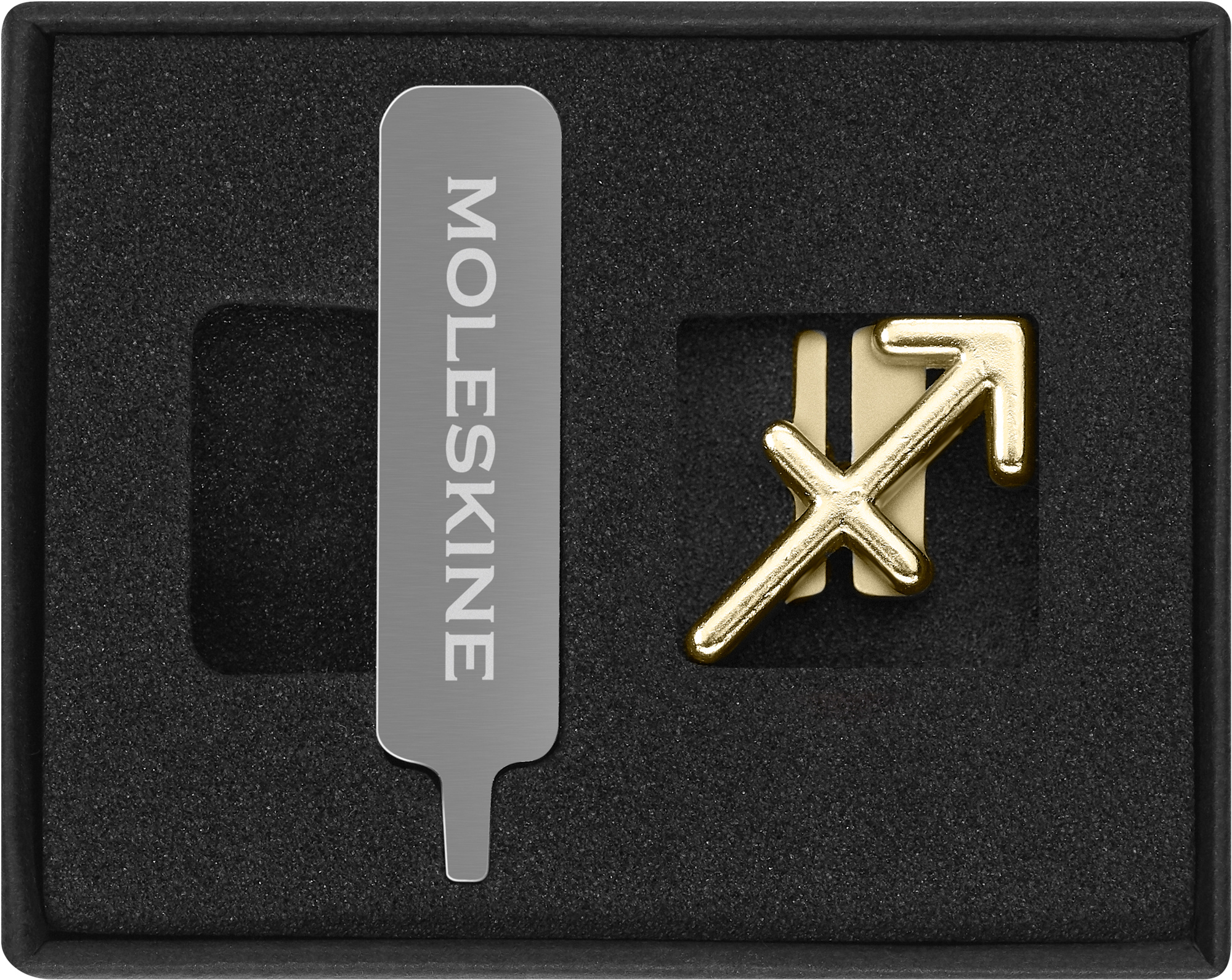 Шильд-символ Moleskine Zodiac Стрелец металл золотистый коробка с европод. PINSAGITTARIUSGOLD