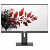 Монитор RDW Computers 27" RDW2701K черный IPS 1ms HDMI M/M 350cd 178гр/178гр 2560x1440 100Hz DP QHD USB (RUS)