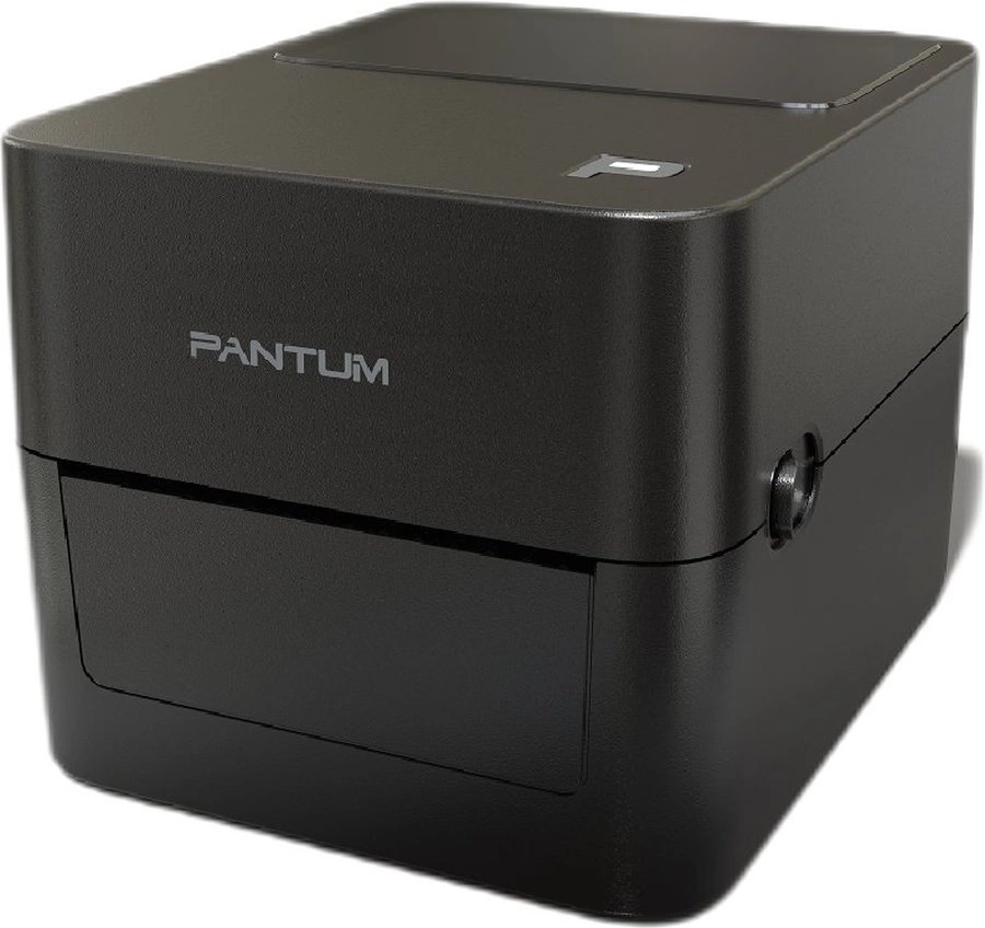 Термопринтер Pantum PT-D160N 203dpi 152мм/с/USB/Eth для печ.накл. черный