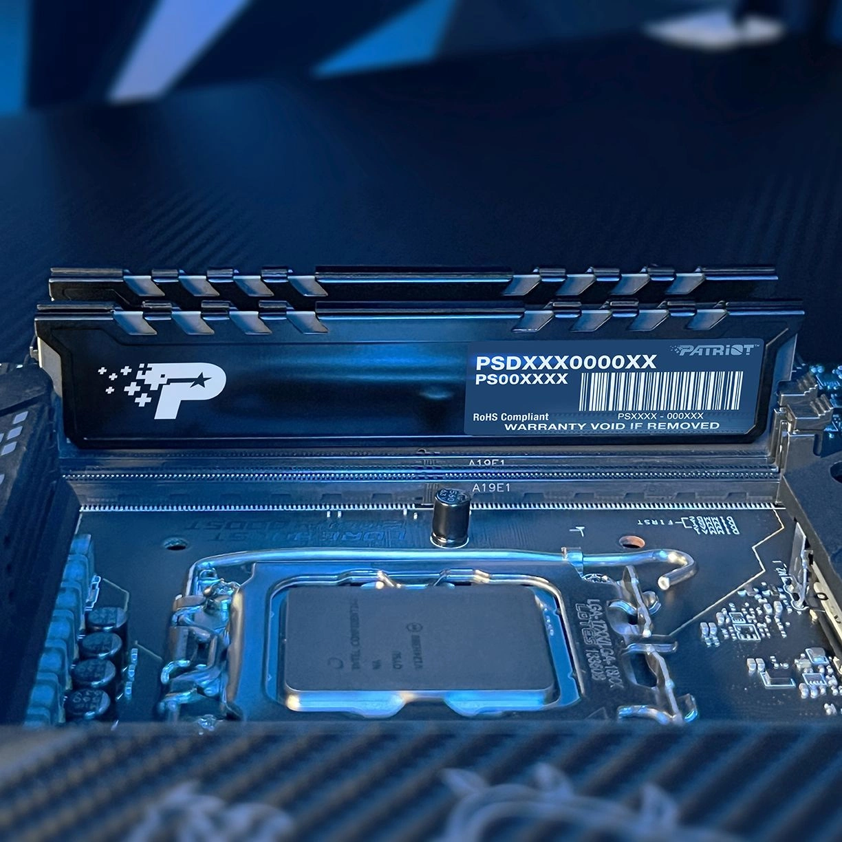Память DDR5 8GB 5200MHz Patriot PSP58G520081H1 Signature Premium RTL PC5-41600 CL42 DIMM 288-pin 1.1В single rank с радиатором Ret