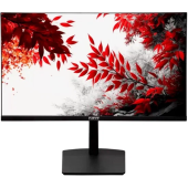 Монитор RDW Computers 31.5" RDW3207 черный IPS 5ms HDMI M/M HAS Piv 300cd 178гр/178гр 3840x2160 60Hz VGA DP UHD USB (RUS)