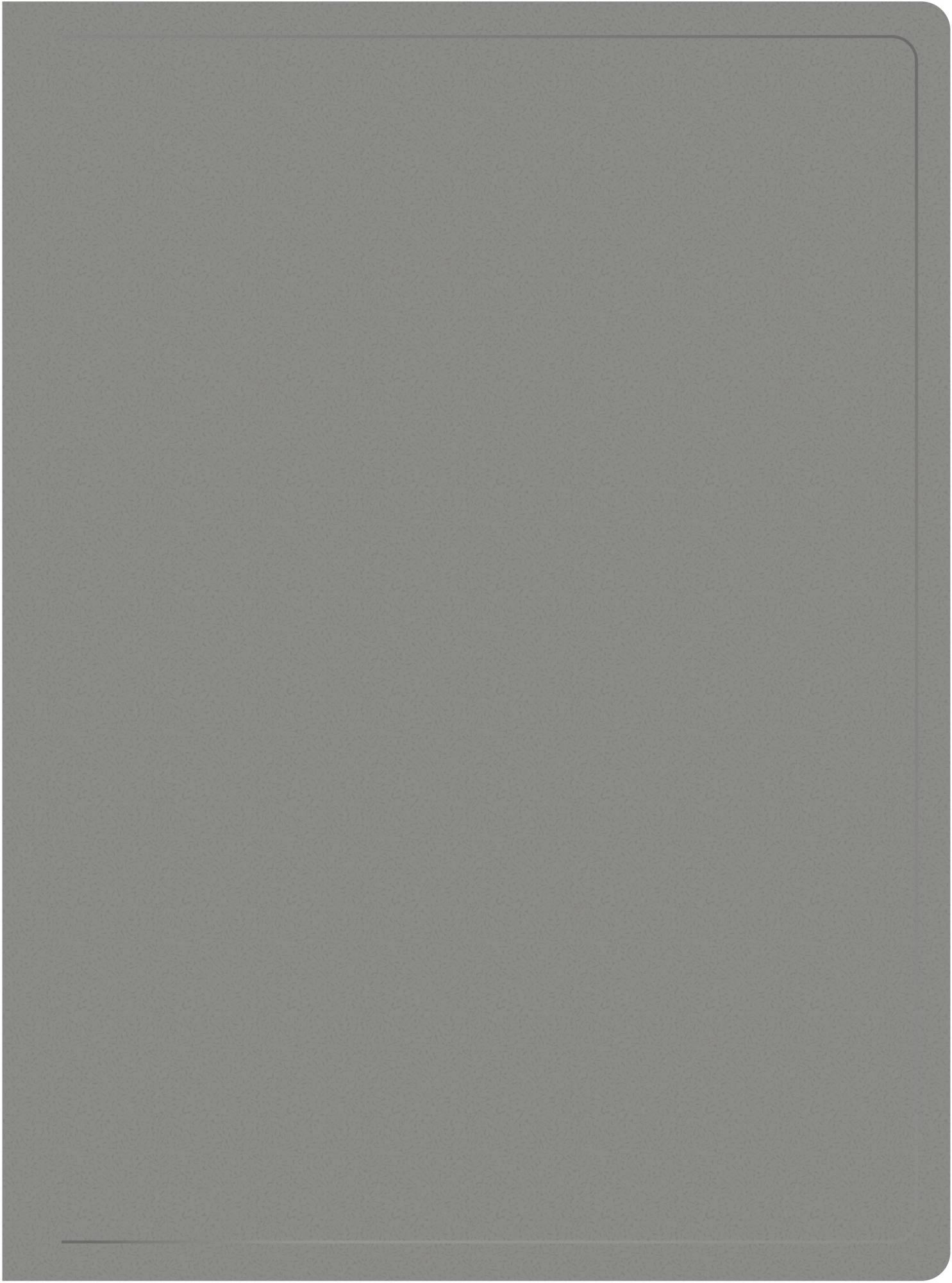 Папка с 20 прозр.вклад. Silwerhof SE-V20GREY A4 пластик 0.5мм серый