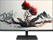 Монитор RDW Computers 23.8" 2401K черный IPS 4ms HDMI 300cd 178гр/178гр 1920x1080 100Hz VGA DP FHD 4.185кг (RUS)