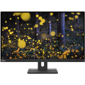 Монитор Lenovo 27" ThinkVision E27q-20 черный IPS LED 4ms 16:9 HDMI M/M матовая HAS Piv 1000:1 350cd 178гр/178гр 2560x1440 75Hz DP 2K 6.6кг