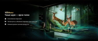 Телевизор QLED Skyworth 75" 75X67H черный/серый 4K Ultra HD 120Hz MEMC DVB-T DVB-T2 DVB-C DVB-S DVB-S2 USB WiFi Smart TV - купить недорого с доставкой в интернет-магазине