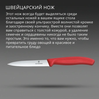 Нож кухонный Victorinox Swiss Classic 6.7731.C1 стальной универсальный для овощей лезв.100мм серрейт. заточка красный - купить недорого с доставкой в интернет-магазине