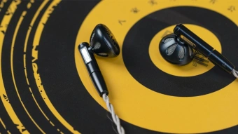 Наушники вкладыши Fiio FF5 1.2м черный проводные в ушной раковине - купить недорого с доставкой в интернет-магазине
