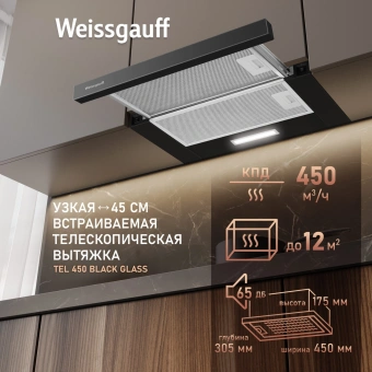 Вытяжка встраиваемая Weissgauff TEL 450 Glass черный управление: кулисные переключатели (1 мотор) - купить недорого с доставкой в интернет-магазине