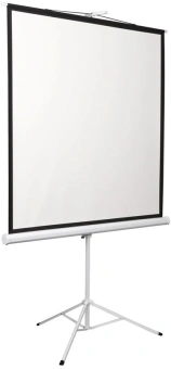 Экран на треноге Digis 135" 248x250см Kontur-D DSKD-1108 1:1 напольный рулонный белый - купить недорого с доставкой в интернет-магазине