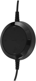 Наушники с микрофоном Jabra Evolve 20 SE черный 2м накладные USB оголовье (4999-823-369) - купить недорого с доставкой в интернет-магазине