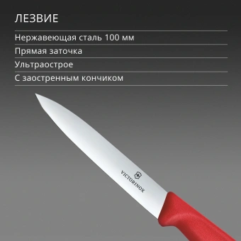 Нож кухонный Victorinox Swiss Classic 6.7701.C1 для овощей лезв.100мм прямая заточка красный - купить недорого с доставкой в интернет-магазине