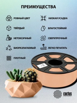 Пластик для принтера 3D Cactus CS-3D-PLA-1KG-SKIN PLA d1.75мм 1кг L326м 1цв. - купить недорого с доставкой в интернет-магазине