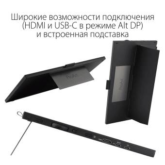 Монитор Asus 15.6" ProArt PA169CDV черный IPS LED 10ms 16:9 HDMI M/M матовая Piv 450cd 178гр/178гр 3840x2160 60Hz 4K USB 1.07кг - купить недорого с доставкой в интернет-магазине