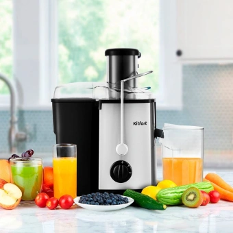 Соковыжималка центробежная Kitfort KT-1116 600Вт стальной - купить недорого с доставкой в интернет-магазине