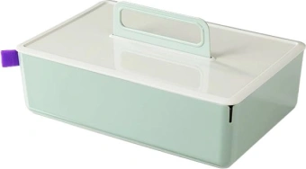 Короб для хранения Deli XDM16green 2отд. 317x212x142,5мм зеленый/серый пластик - купить недорого с доставкой в интернет-магазине