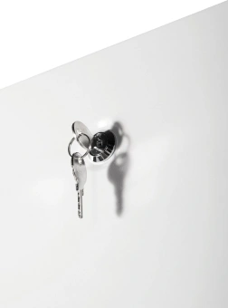 Шкаф коммутационный ЦМО (ШТК-Э-48.6.10-13АА) напольный 48U 600x1000мм пер.дв.стекл 2 бок.пан. металл 710кг серый 915мм 120град. IP20 - купить недорого с доставкой в интернет-магазине