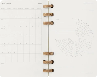 Еженедельник Moleskine ACADEMIC SPIRAL DSSPB12AMWH3 Large 150х210мм 200стр. кремовые страницы спираль черный - купить недорого с доставкой в интернет-магазине