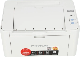 Принтер лазерный Pantum P2200 A4 серый - купить недорого с доставкой в интернет-магазине