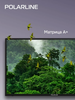 Телевизор LED PolarLine 32" 32PL55TC-SM черный/серебристый HD 60Hz DVB-T DVB-T2 DVB-C USB WiFi Smart TV (RUS) - купить недорого с доставкой в интернет-магазине