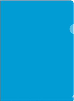 Папка-уголок Бюрократ Economy -E100A тисненый A4 пластик 0.10мм ассорти - купить недорого с доставкой в интернет-магазине