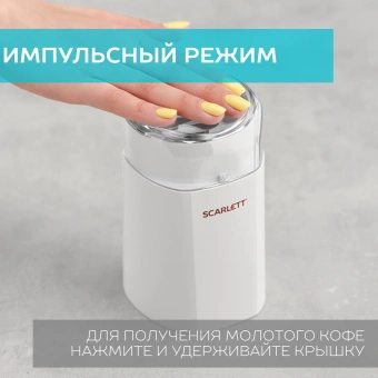 Кофемолка Scarlett SC-CG44506 150Вт сист.помол.:ротац.нож вместим.:60гр белый - купить недорого с доставкой в интернет-магазине