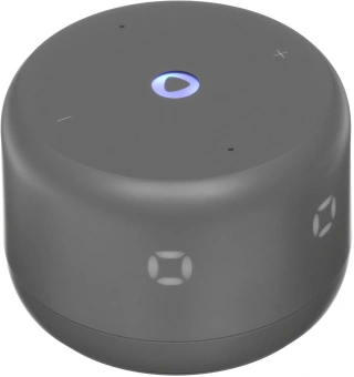 Умная колонка Yandex Станция Лайт 2 Алиса графитовый 6W 1.0 BT/Wi-Fi 10м (YNDX-00026GRY) - купить недорого с доставкой в интернет-магазине
