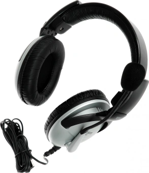 Наушники с микрофоном Koss SB45-USB черный/серебристый 2.4м мониторные оголовье (15116464) - купить недорого с доставкой в интернет-магазине