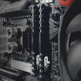 Память DDR4 32GB 3200MHz Patriot PSP432G3200H1 Signature Premium RTL PC4-25600 CL22 DIMM 288-pin 1.2В kit dual rank Ret - купить недорого с доставкой в интернет-магазине