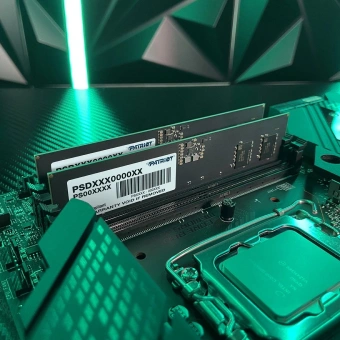 Память DDR5 16GB 5600MHz Patriot PSD516G56002 Signature RTL PC5-44800 CL46 DIMM 288-pin 1.1В single rank Ret - купить недорого с доставкой в интернет-магазине