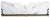 Память DDR4 2x16GB 3200MHz Netac NTSWD4P32DP-32W Shadow II RTL Gaming PC4-25600 CL16 DIMM 288-pin 1.35В kit Intel с радиатором Ret - цена, купить или заказать с доставкой в интернет-магазине Память DDR4 2x16GB 3200MHz Netac NTSWD4P32DP-32W Shadow II RTL Gaming PC4-25600 CL16 DIMM 288-pin 1.35В kit Intel с радиатором Ret - купить недорого с доставкой в интернет-магазине