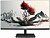 Монитор RDW Computers 23.8" 2401K черный IPS 4ms HDMI HAS Piv 350cd 178гр/178гр 1920x1080 100Hz VGA DP FHD USB 4.185кг (RUS)