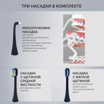 Зубная щетка электрическая Polaris PETB 0701 TC серый - купить недорого с доставкой в интернет-магазине