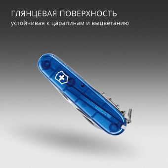 Нож перочинный Victorinox Spartan (1.3603.T2) 91мм 12функц. синий полупрозрачный карт.коробка - купить недорого с доставкой в интернет-магазине