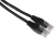 Патч-корд Lanmaster TWT-45-45-1.0-BK UTP RJ-45 вил.-вилка RJ-45 кат.5E 1м черный ПВХ (уп.:1шт) - купить недорого с доставкой в интернет-магазине