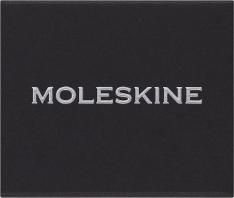 Шильд-символ Moleskine Zodiac Козерог металл серебристый коробка с европод. PINCAPRICORNSILV - купить недорого с доставкой в интернет-магазине