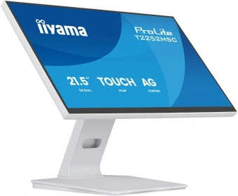 Монитор Iiyama 21.5" ProLite T2252MSC-W2AG белый IPS LED 5ms 16:9 HDMI M/M матовая 250cd 178гр/178гр 1920x1080 60Hz DP FHD USB Touch 4.5кг - купить недорого с доставкой в интернет-магазине