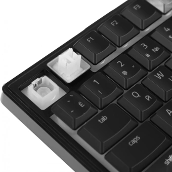 Клавиатура Razer Ornata V3 Tenkeyless механическая черный USB Multimedia for gamer LED (подставка для запястий) (RZ03-04881600-R3R1) - купить недорого с доставкой в интернет-магазине