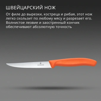 Нож кухонный Victorinox Swiss Classic 6.7239.C1 стальной универсальный для стейка/пиццы лезв.110мм серрейт. заточка оранжевый - купить недорого с доставкой в интернет-магазине