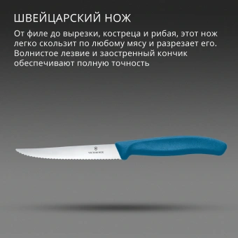 Нож кухонный Victorinox Swiss Classic 6.7232.C1 стальной универсальный для стейка/пиццы лезв.110мм серрейт. заточка синий - купить недорого с доставкой в интернет-магазине