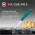 Нож кухонный Victorinox Swiss Classic 6.7604.C1 для чистки овощей и фруктов лезв.80мм прямая заточка зеленый - купить недорого с доставкой в интернет-магазине