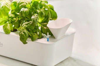 Кашпо Cactus Garden CS-LEDPOT-10 2.0л белый - купить недорого с доставкой в интернет-магазине