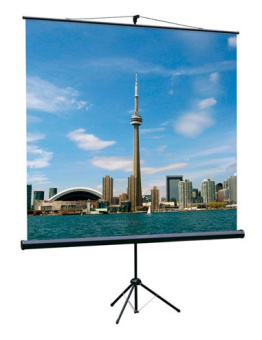 Экран на треноге Lumien 100" 180x180см Eco View LEV-100102 1:1 напольный рулонный - купить недорого с доставкой в интернет-магазине