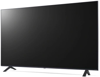 Телевизор LED LG 65" 65NANO80T6A.ARUG синяя сажа 4K Ultra HD 60Hz DVB-T DVB-T2 DVB-C DVB-S DVB-S2 USB WiFi Smart TV - купить недорого с доставкой в интернет-магазине