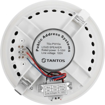 Громкоговоритель Tantos TSo-PW10a потолочный 10Вт белый (00-00026419) - купить недорого с доставкой в интернет-магазине