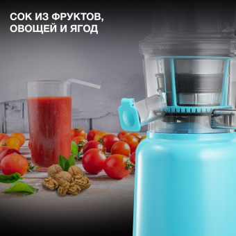 Соковыжималка шнековая Hyundai HY-JS6534 300Вт рез.сок.:1200мл. светло-синий - купить недорого с доставкой в интернет-магазине