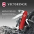 Нож перочинный Victorinox Sportsman (0.3803) 84мм 13функц. красный карт.коробка - цена, купить или заказать с доставкой в интернет-магазине Нож перочинный Victorinox Sportsman (0.3803) 84мм 13функц. красный карт.коробка - купить недорого с доставкой в интернет-магазине