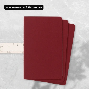 Блокнот Moleskine CAHIER JOURNAL CH116 Large 130х210мм обложка картон 80стр. линейка клюквенный (3шт) - купить недорого с доставкой в интернет-магазине