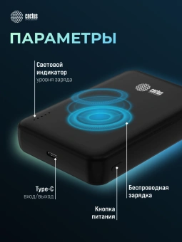 Мобильный аккумулятор Cactus CS-PBFSUA-10000 10000mAh 22.5W 4.5A USB-C беспров.зар. черный - купить недорого с доставкой в интернет-магазине