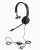 Наушники с микрофоном Jabra Evolve 20 черный накладные USB оголовье (4993-823-169) - цена, купить или заказать с доставкой в интернет-магазине Наушники с микрофоном Jabra Evolve 20 черный накладные USB оголовье (4993-823-169) - купить недорого с доставкой в интернет-магазине